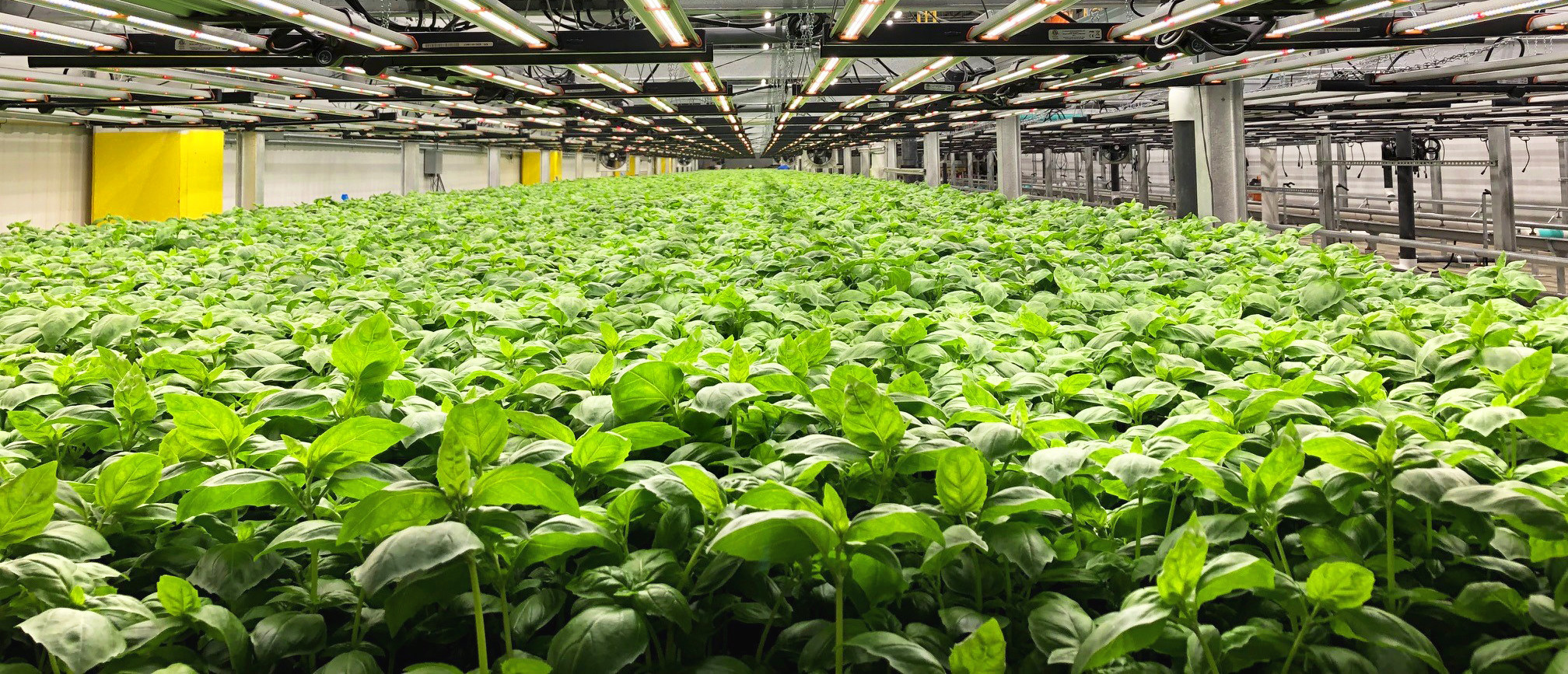 Farm Biofactory Shenandoah Growers Opens Next Generation USDA Certified Indoor BioFarm ...