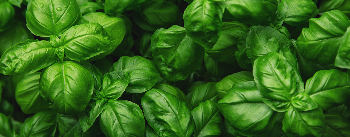 Soli Organic Raises Nearly 125 Million To Expand National Footprint 